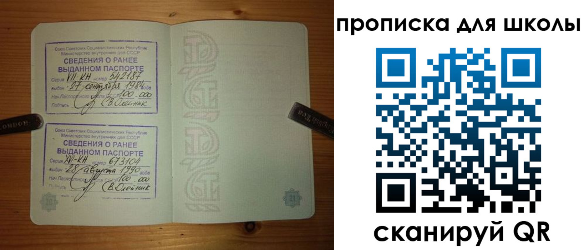 прописка для школы в Сертолово